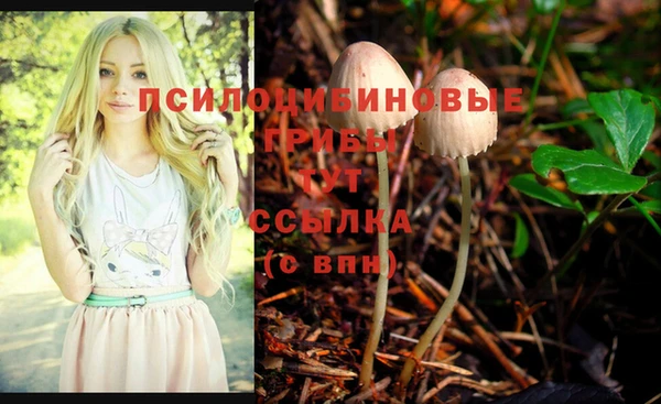 спайс Навашино