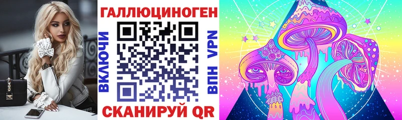 Галлюциногенные грибы GOLDEN TEACHER как найти закладки Норильск